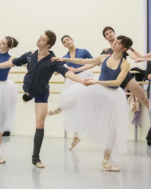 Swan Lake - Symphony of Lights